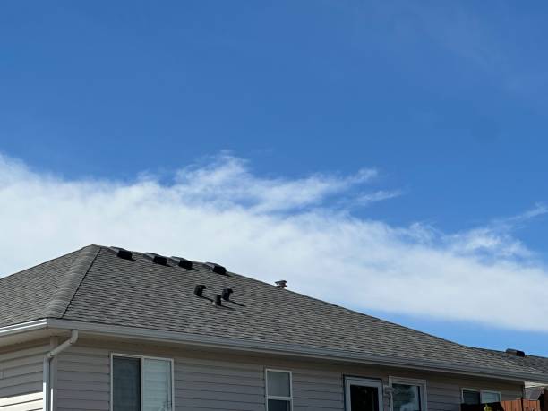 Best Green or Eco-Friendly Roofing Solutions  in Manitou Springs, CO
